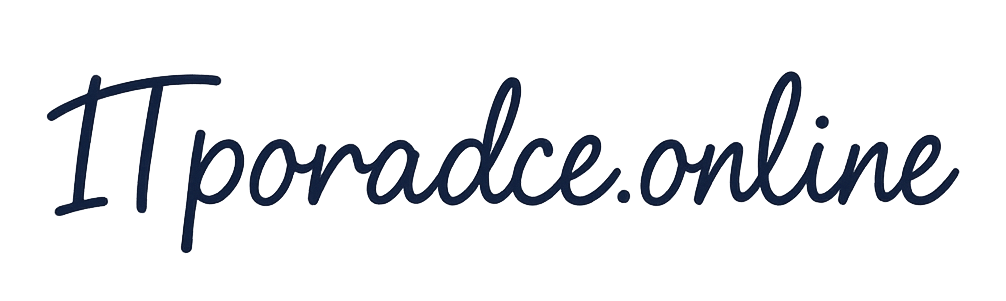 IT partner pro váš byznys